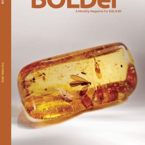 The Fossil Issue (III)