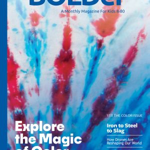 The Color Issue (VIII) 