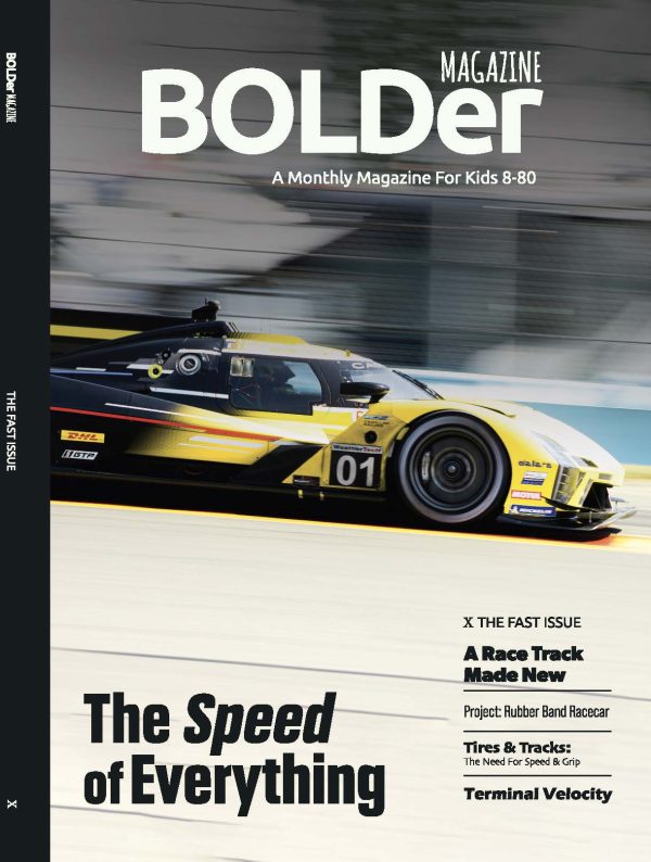 The Fast Issue (X) 