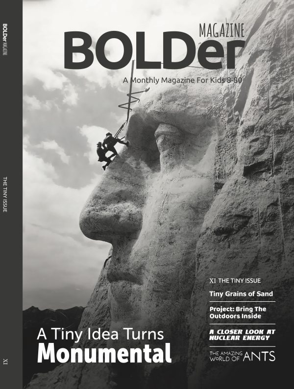 The Tiny Issue (XI)