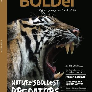 The Bold Issue (XII)