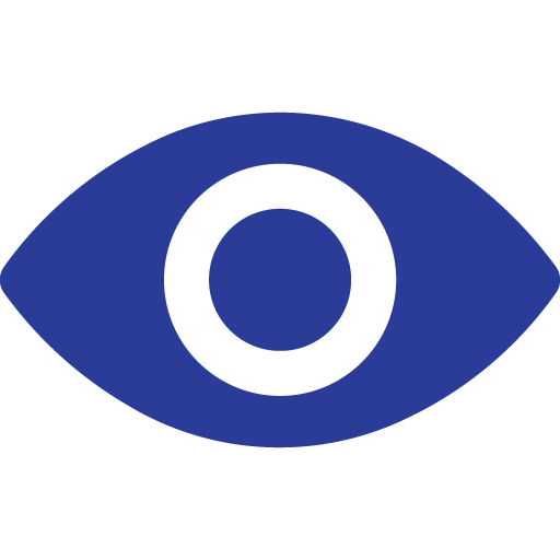 Vision Icon