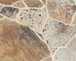Black Hills Rustic Flagstone