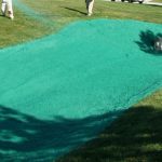 Flexible Growth Mediums