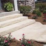 Iowa Buff Steps