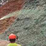 Biotic Soil Media