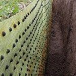 Root barrier