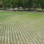 Turfstone paver