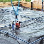 Grip-Rite Poly Sheeting