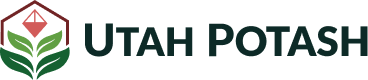 Main Logo